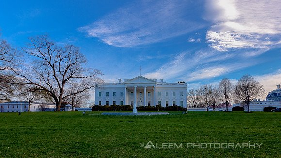 White House In Spring