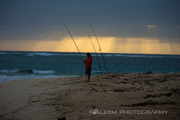 Hawaii20130128-8203