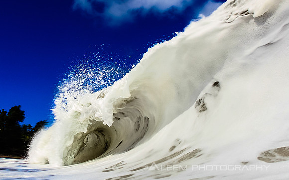 Hawaiian Snowball