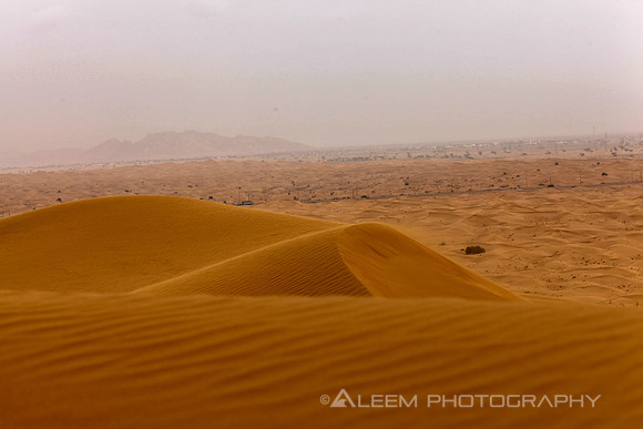 Desert Dubai