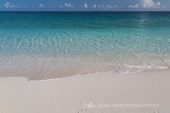 Caribbean Blue