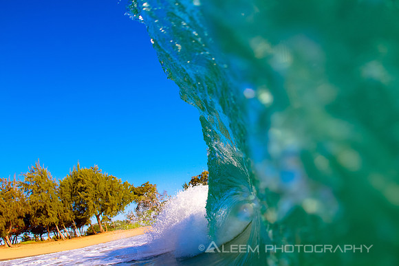 Surfs Up
