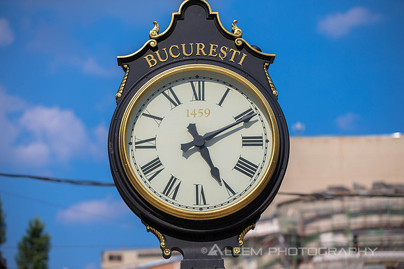 BZ5T5196