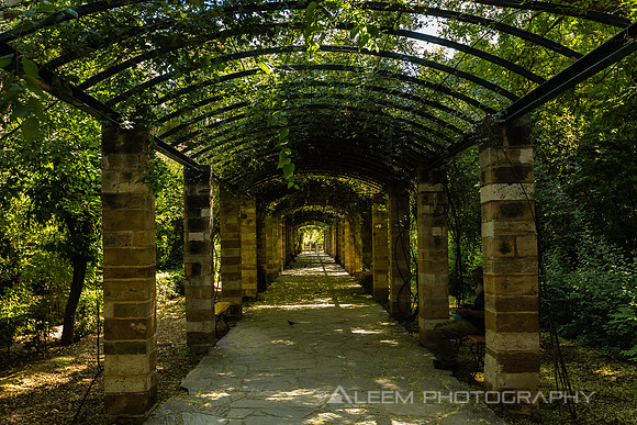 Pathway to Temple of Olympian Zeus